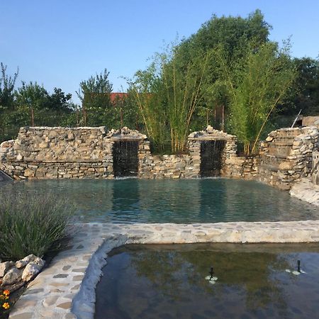 Country Spa Retreat Snagov Luaran gambar The Roman bath
