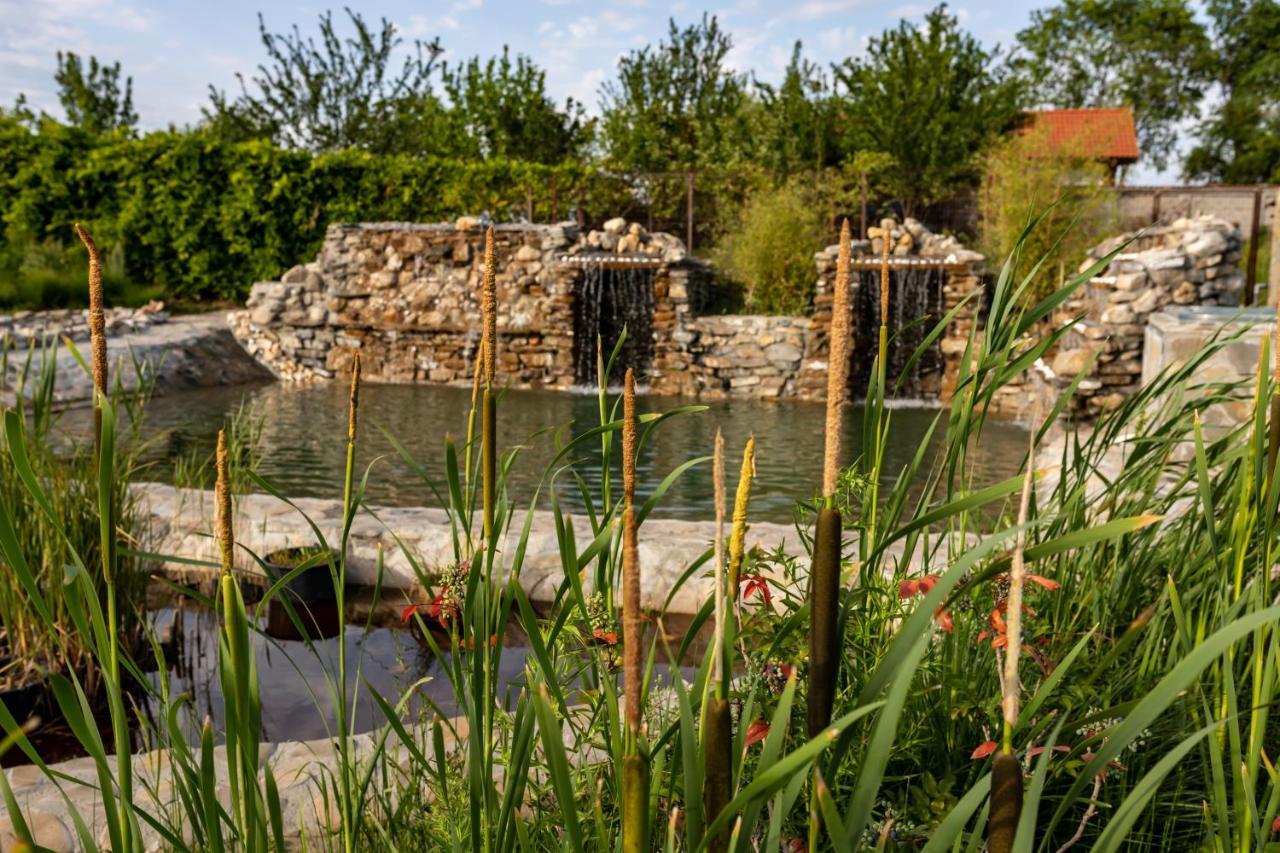 Country Spa Retreat Snagov Luaran gambar The River at the Living Prairie
