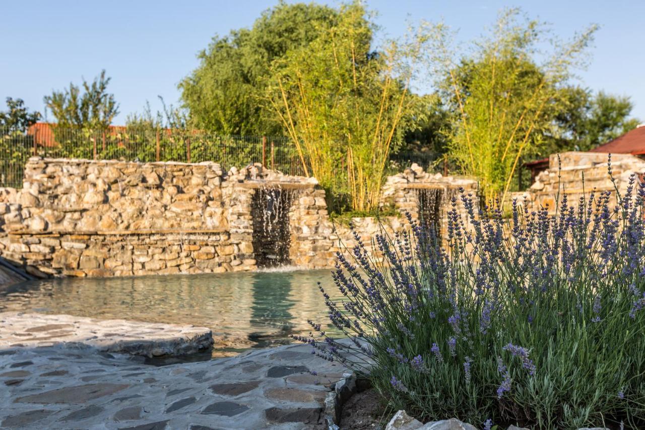 Country Spa Retreat Snagov Luaran gambar The fountain at the entrance of the park