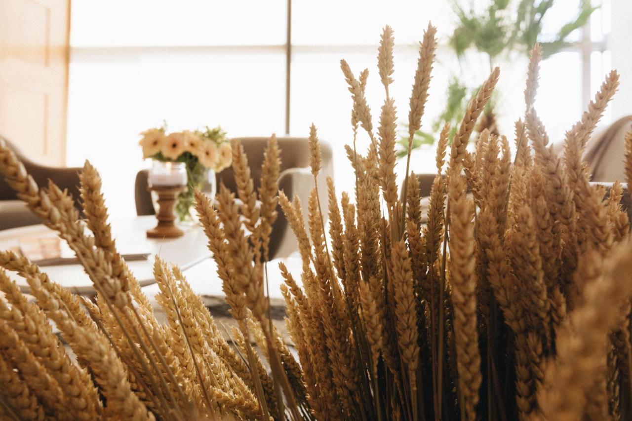 Country Spa Retreat Snagov Luaran gambar Wheat