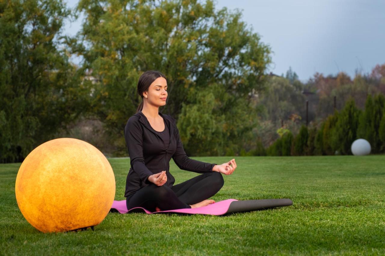 Country Spa Retreat Snagov Luaran gambar A woman meditating